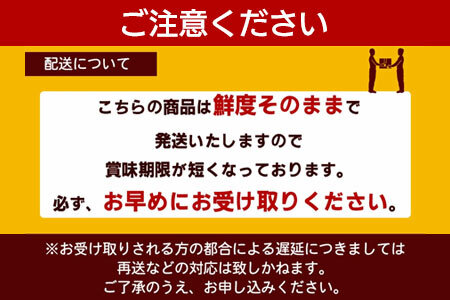 【配送不可地域:北海道・東北・沖縄県・離島】オリーブあわび 約1kg(10～12個程度)