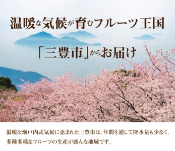 シャインマスカット 2房(約1.1kg以上)