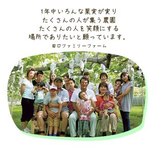 【田口ファミリーファーム】ぶどうﾐｯｸｽ(瀬戸ジャイアンツ入り)2~4房(約1.5kg~2kg)(2026年7月中旬発送開始) N053-YZB072