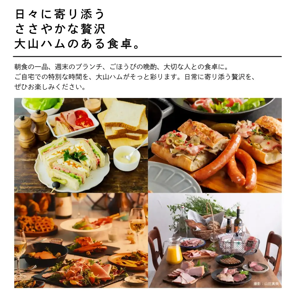 大山ハム・ソーセージ7品詰め合わせ（DLG-402）米子市ふるさと納税No1返礼品！　ハム　ウインナー　ソーセージ