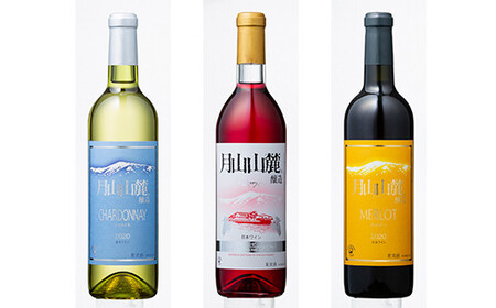 FYN6-470 月山山麓ワイン 飲み比べ6本セット（赤・白・ロゼ・スパークリング）ミディアムボディ ライドボディ 山形県 西川町