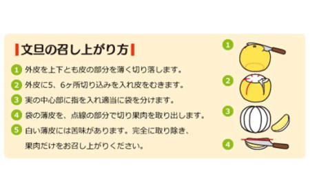 成田果樹園 土佐文旦 5kg 家庭用 文旦