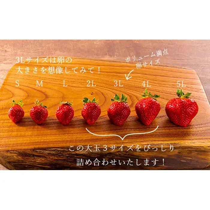 【2027年1～4月出荷分予約販売】完熟あまおう 大玉詰め合わせ 1.2kg あまおう