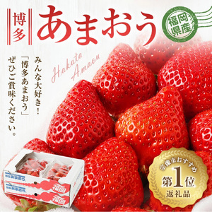 【先行予約】【アフター保証】大粒セレクト！大人気のあまおう 250g×4パック【1月～2月上旬発送】【JAほたるの里】 _HA0274