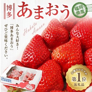 【先行予約】【アフター保証】 大粒セレクト！大人気のあまおう 約250g×2パック【2月中旬～3月発送】【JAほたるの里】_HA0277