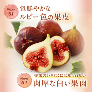 【寄附額改定!】プレミアムいちじく とよみつひめ　1.2kg【JAほたるの里】_HA0278 | いちじく 果物 