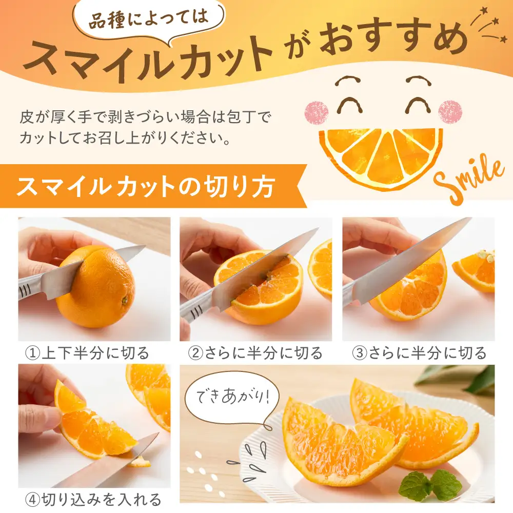 ＜2027年1月～4月上旬発送＞JAむなかたかんきつ部会が厳選したみかん（中晩柑）計5kg【JAほたるの里】_AS0280-00