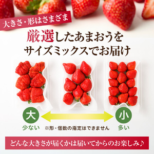 【先行予約】【アフター保証】 「博多あまおう」約250g×4パック【2月上旬～3月発送】【JAほたるの里】_HA0433