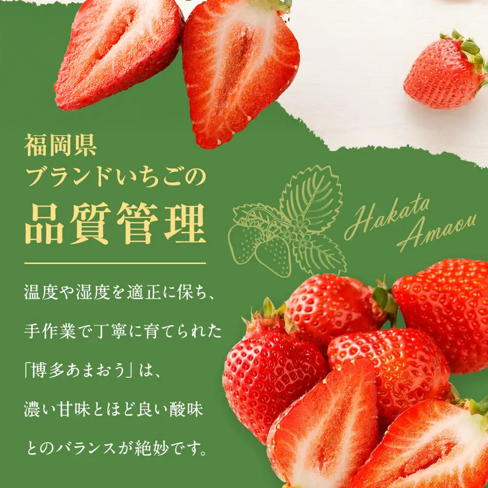 【先行予約】【アフター保証】4月発送！「博多あまおう」約250g×4パック【ほたるの里】_HA0526
