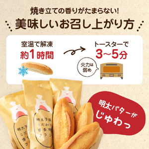 【定期便／年6回／隔月お届け】明太子屋がこだわった博多明太フランス　5本セット定期便【海千】_HB0005