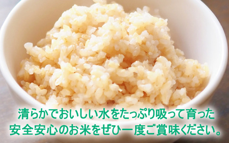 【先行予約】【令和7年産 新米】減農薬・減化学肥料の特別栽培コシヒカリ 玄米 5kg 農家直送 福井県大野市産 [A-004004]