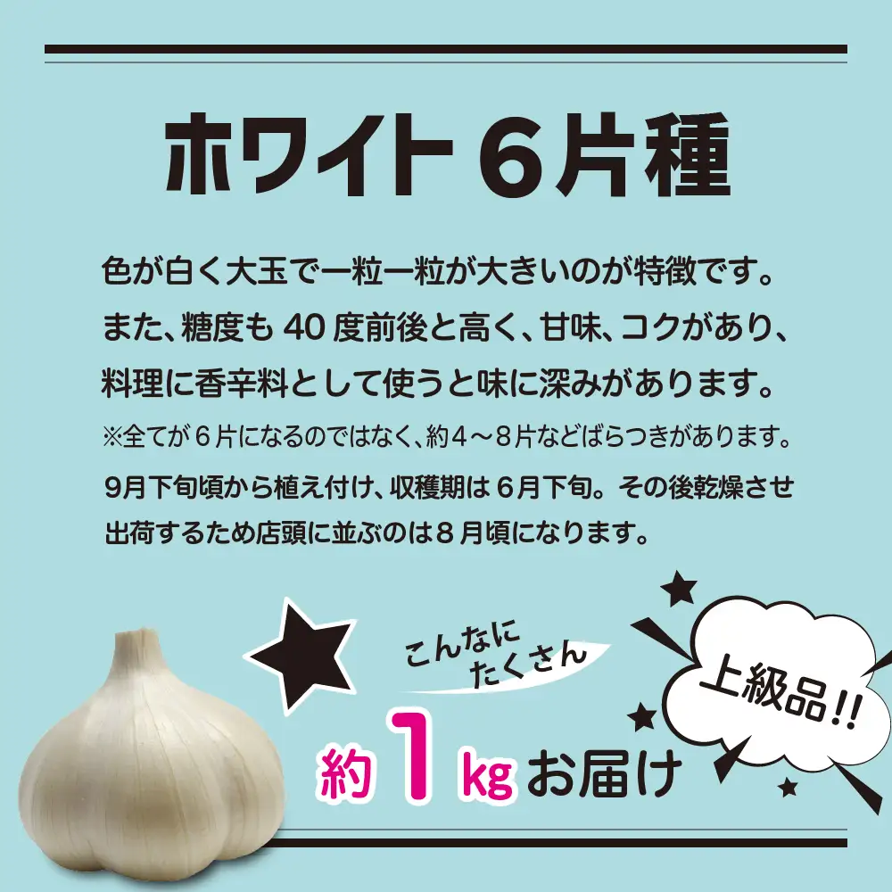 青森県産にんにく 上級品 Mサイズ 1kg ホワイト6片種 にんにく