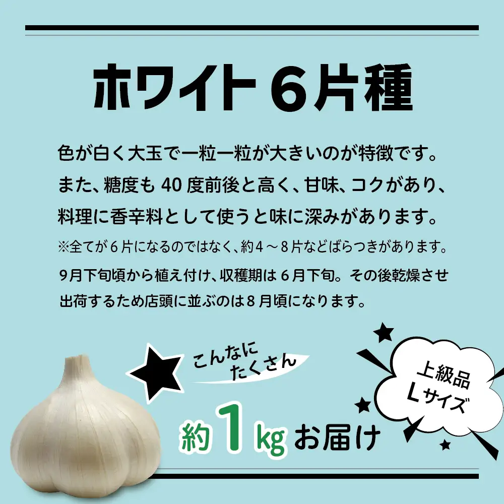 青森県産にんにく 上級品 Lサイズ 1kg ホワイト6片種 にんにく
