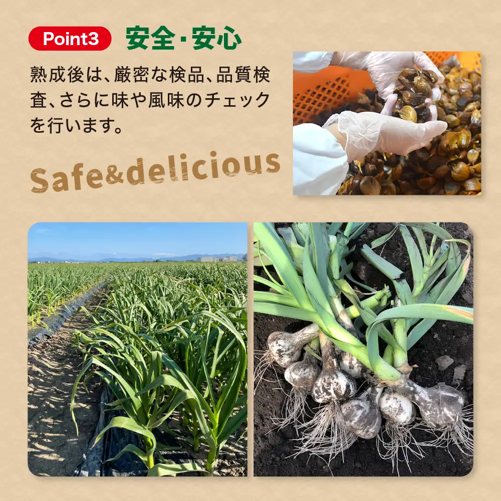青森県産黒にんにく バラ 500g  にんにく