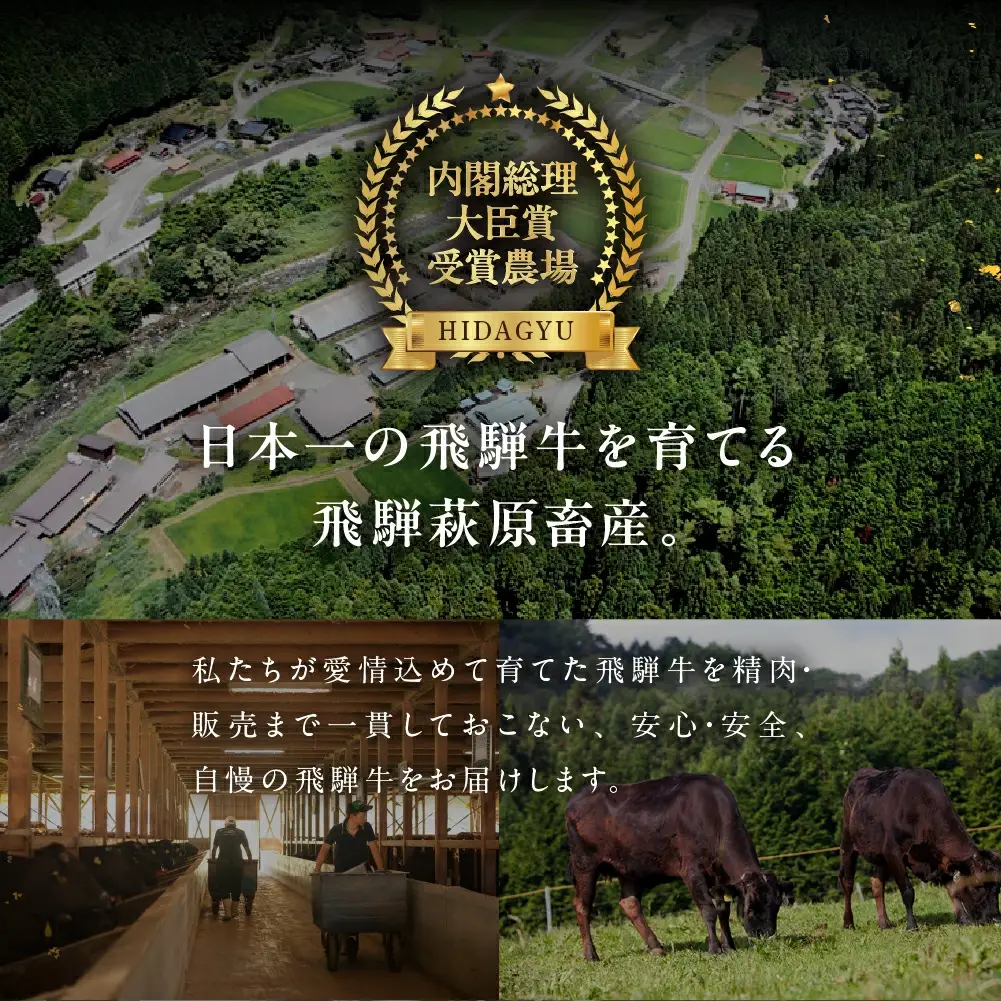 飛騨牛ももすき焼  300g  【22-4】