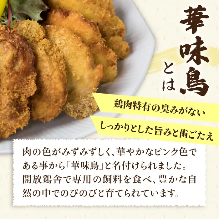 【合計38枚】 カツ 2種セット 糸島華味鳥 チキン カツ/糸島産豚肉 ヒレカツ セット （合計38枚） 糸島市/糸島ミートデリ工房 [ACA102] トンカツ とんかつ 冷凍