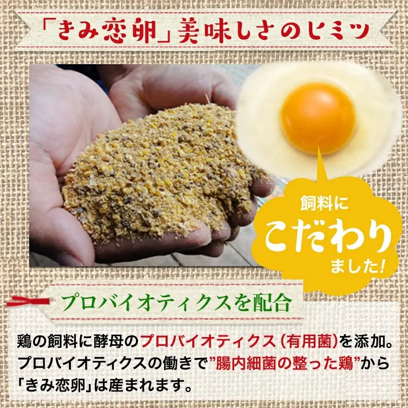 「きみ恋卵」たまごかけご飯セット〔12-29-001〕_(都城市) きみ恋卵 Ｍサイズ 醤油 たまごかけご飯専用醤油「玉子ちゃん」 甘口 卵かけご飯 朝ごはん 朝食
