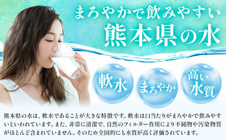ピュアウォーター 純度99.99% 12L×2本 合計24L スターターセット付き（専用蛇口・段ボール台座）有限会社七城町特産品センター《90日以内に出荷予定(土日祝除く)》 熊本県 菊池市 ピュアウォーター ROウォーターとは 飲料水 ドリンク 軟水