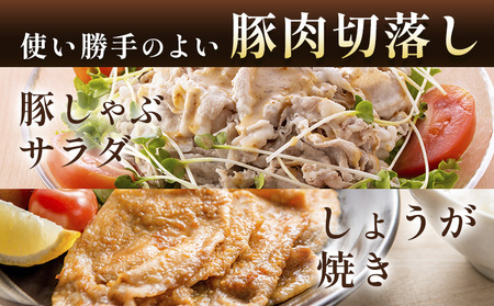 肥後あそび豚切落し 2.4kg 株式会社さつま屋産業《90日以内に出荷予定(土日祝除く)》 ぶた ブタ 豚肉 肉 ブランド豚 切り落とし 国産 九州産 熊本県産 菊池市産 冷凍 送料無料
