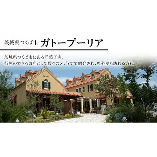 【牛久市産 落花生 使用】ピーナッツロール ・ チョコロール 2種詰合せ