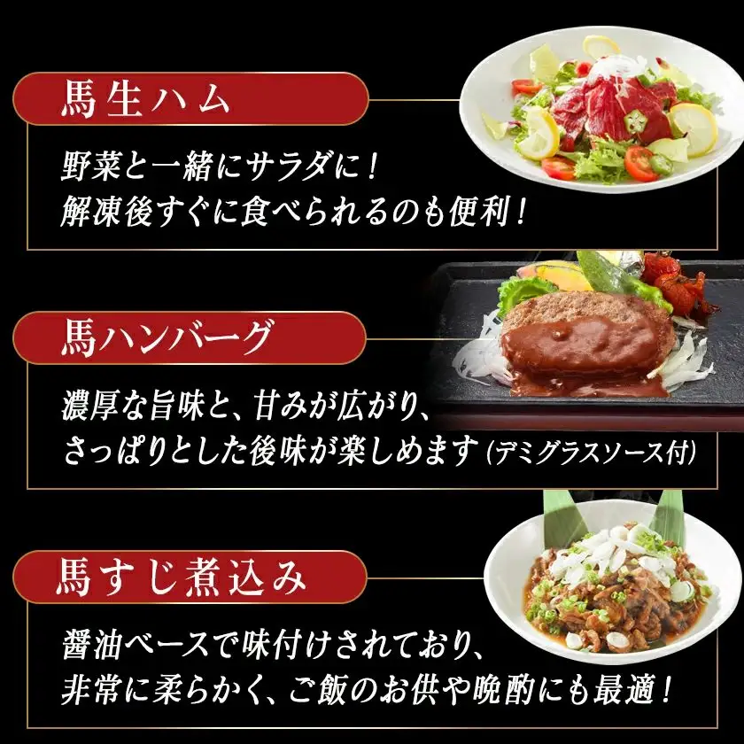 都城産馬!馬!馬尽くし定期便(10ヵ月)〔T80(10)-0101〕_(都城市) 定期便 馬刺しブロック ( ロース 赤身 タテガミ フタエゴ )  馬ハンバーグ 馬生ハム 馬すじ煮込み 10ヵ月定期便