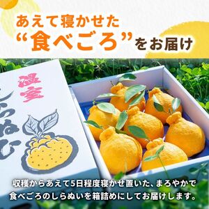 温室 不知火 （ しらぬい ） 3kg（7〜8玉）化粧箱入 / デコポン ハウス栽培 甘い 和歌山 柑橘 お歳暮 ※2026年11月下旬〜2026年12月下旬に順次発送 【ymk006-p-3】