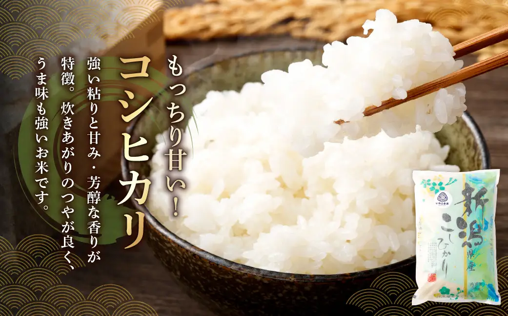 【令和7年産米】新潟県村上市岩船産「コシヒカリ」と「こしいぶき」の食べ比べセット（神林産地）10kg　B4084