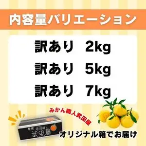 【はるか】 訳あり はるか 7kg みかん 【みかん職人武田屋】