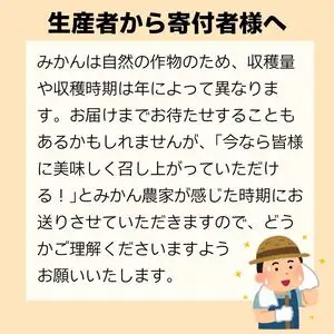 【先行予約】 訳あり 不知火 3kg  しらぬい かんきつ 柑橘 みかん 蜜柑 でこぽん おやつ きず 傷 ふぞろい 不揃いフルーツ 果物 くだもの 果実 愛媛県 愛南町 みかん職人武田屋