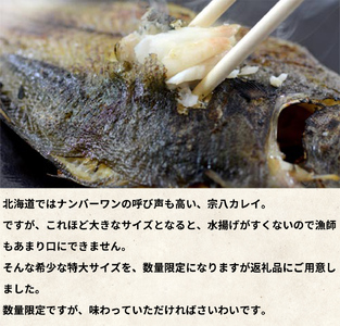 【数量限定】宗八かれいの一夜干し 4枚入 冷凍 カレイ 北海道 カレイ かれい 一夜干し 干物