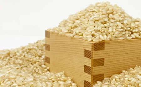 【定期便6ヶ月】【令和8年産新米】【玄米】鈴木・ファーム「ササニシキ」10kg(5kg×2袋)×6ヶ月_A127(R8)