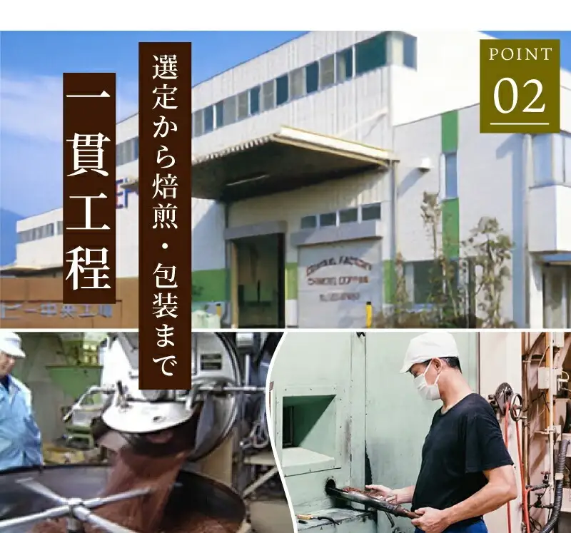コーヒー豆 覚 250g 6袋 自家焙煎 コーヒー豆