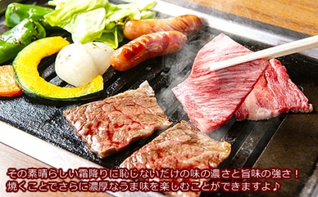 76-79A焼肉界の最強存在！高級希少部位！三角バラ（上カルビ）400g