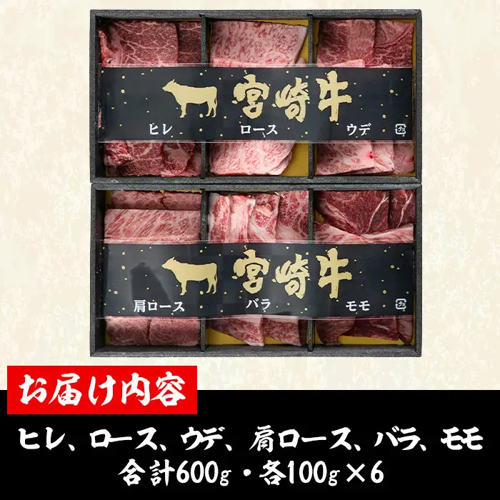＜宮崎牛・3D冷凍＞6部位食べ比べ焼肉(合計600g)牛肉  国産 冷凍【R-27】【株式会社ミヤチク】