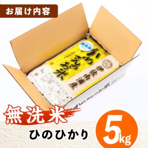 isa278 《数量限定》かめさんのお米(5kg・ひのひかり・無洗米) ふるさと納税 伊佐市 特産品 国産 白米 精米 無洗米 伊佐米 お米 米 生産者 ヒノヒカリ 5kg 【Farm-K】
