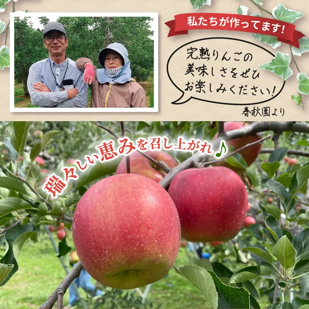 りんご　5kg【2026年11月下旬発送】訳あり青森りんご家庭用完熟サンふじ