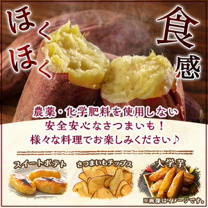 さつまいも 紅はるか 10kg 通常サイズ【そのやま農園】_y329-A