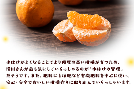 『清晃アグリ』のご家庭用ポンカン 約4kg(M-3Lサイズ)《12月中旬-1月中旬頃出荷》