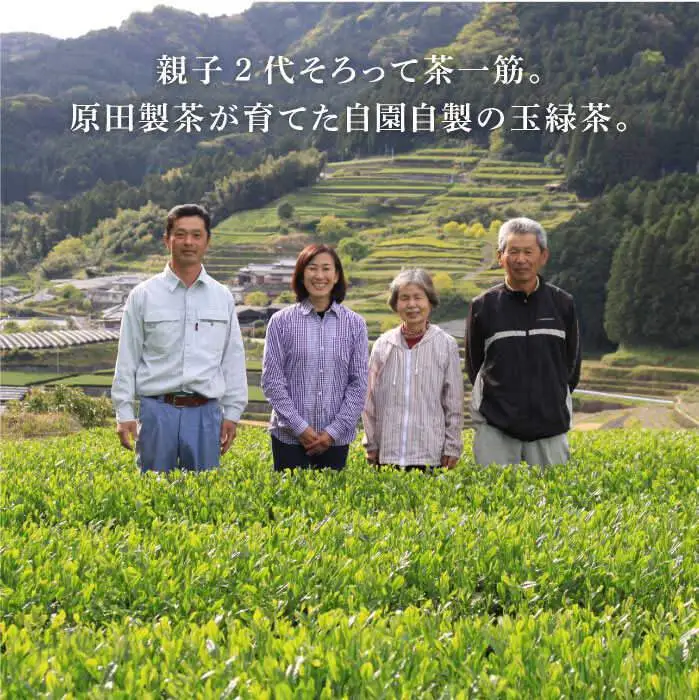 日本茶アワード受賞 玉緑茶「心茶 鬼木みどり」3本セット【原田製茶】 [GA16] 