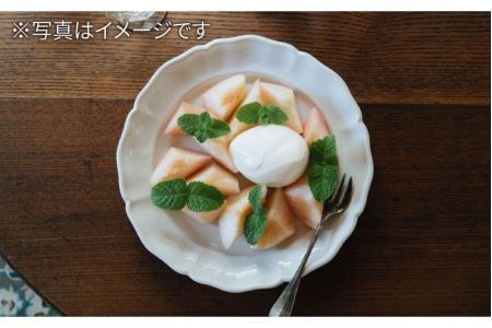 【波佐見焼】花リム プレート 2枚セット 食器 皿 【イロドリ】 [KE14] 波佐見焼