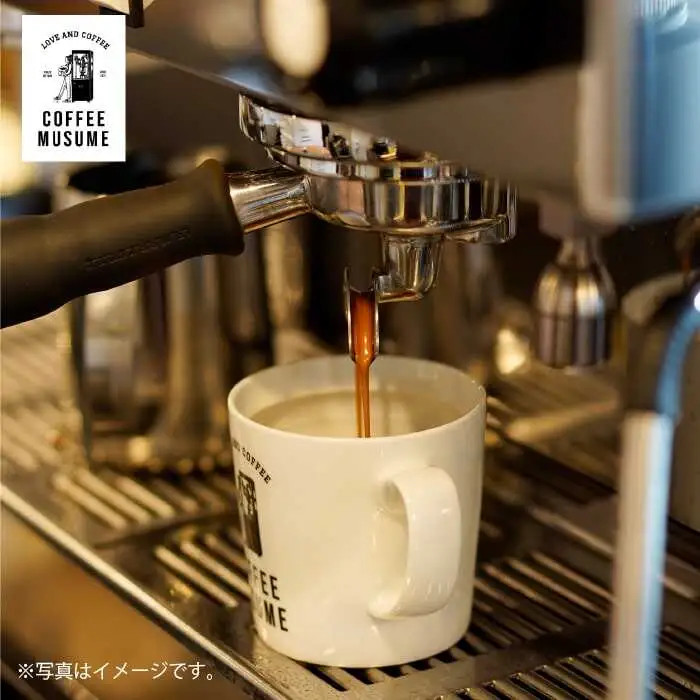 【波佐見焼】COFFEE MUSUME オリジナルマグカップ2個（グレー・ホワイト）×ドリップパック1種6個セット【COFFEE MUSUME】 [TE02]  波佐見焼