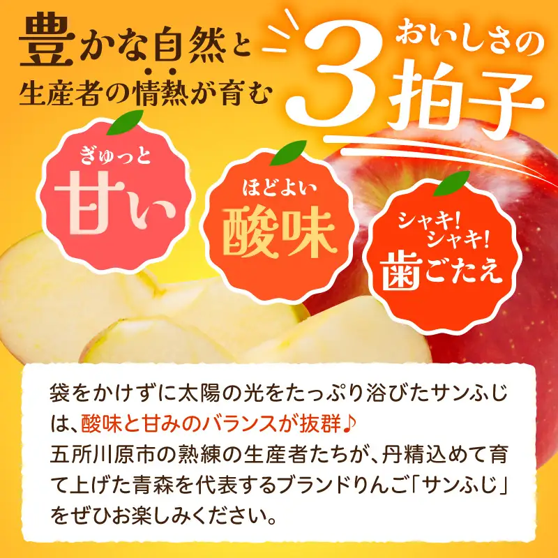 【2027年2月下旬発送】《訳あり》 りんご 約10kg サンふじ 青森産 りんご