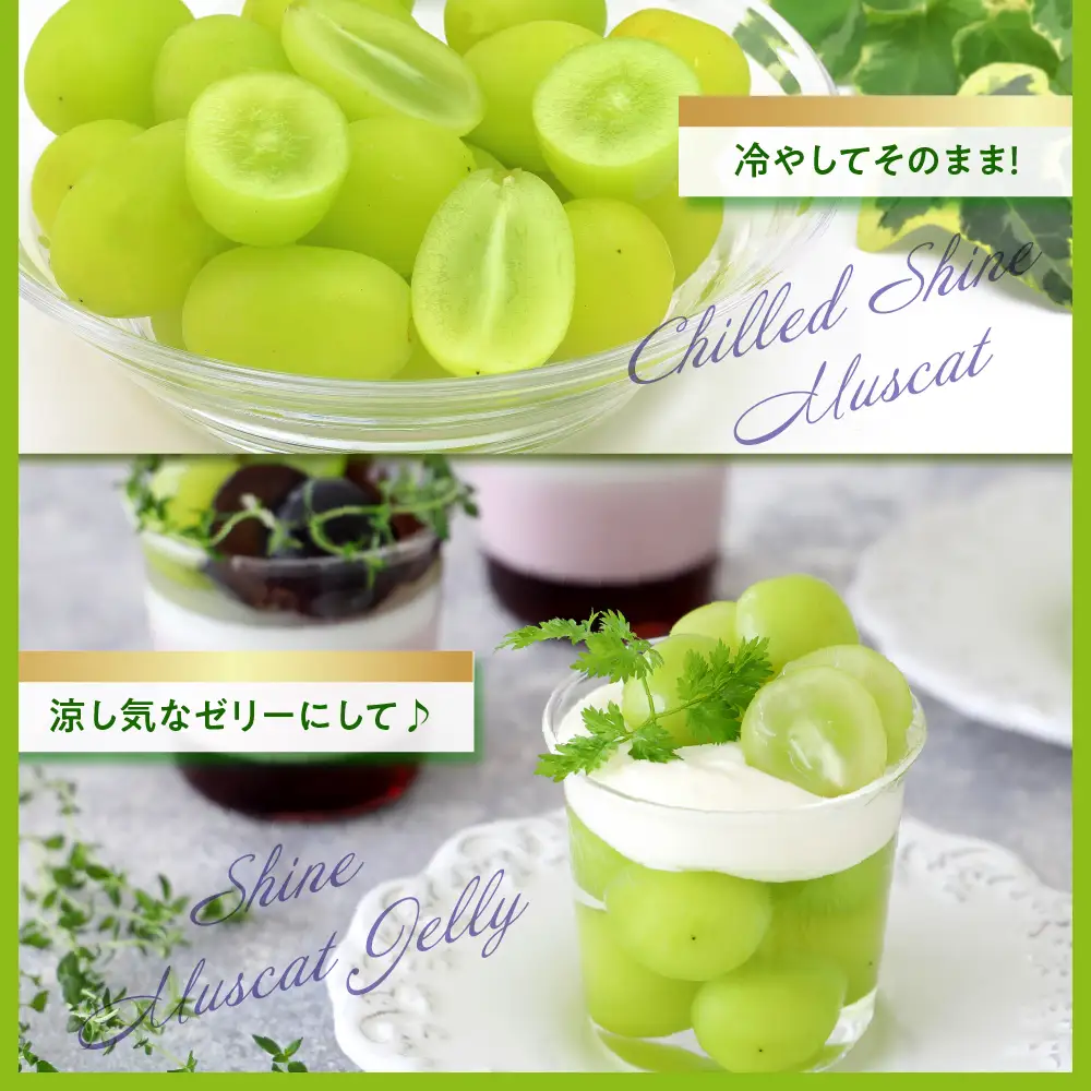 【2026年12月上旬発送】 青森産シャインマスカット 「家庭用カップ入り」 約1.2kg (200g×6カップ)