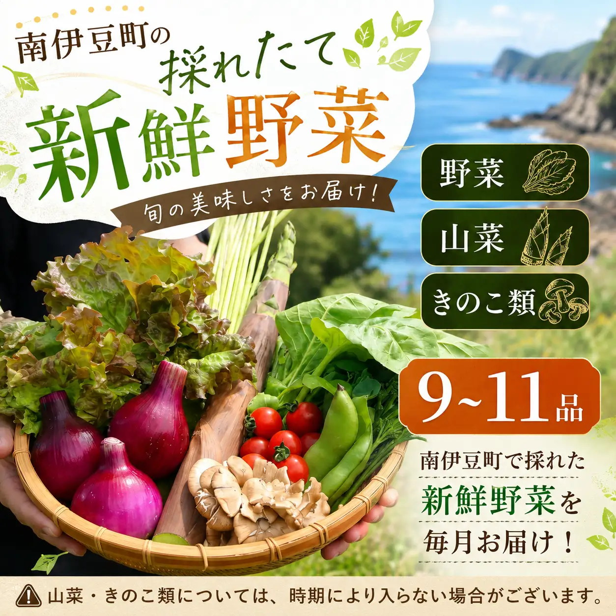 旬の野菜セット 3ヶ月の定期便　【 朝どれ 野菜 やさい 新鮮 】