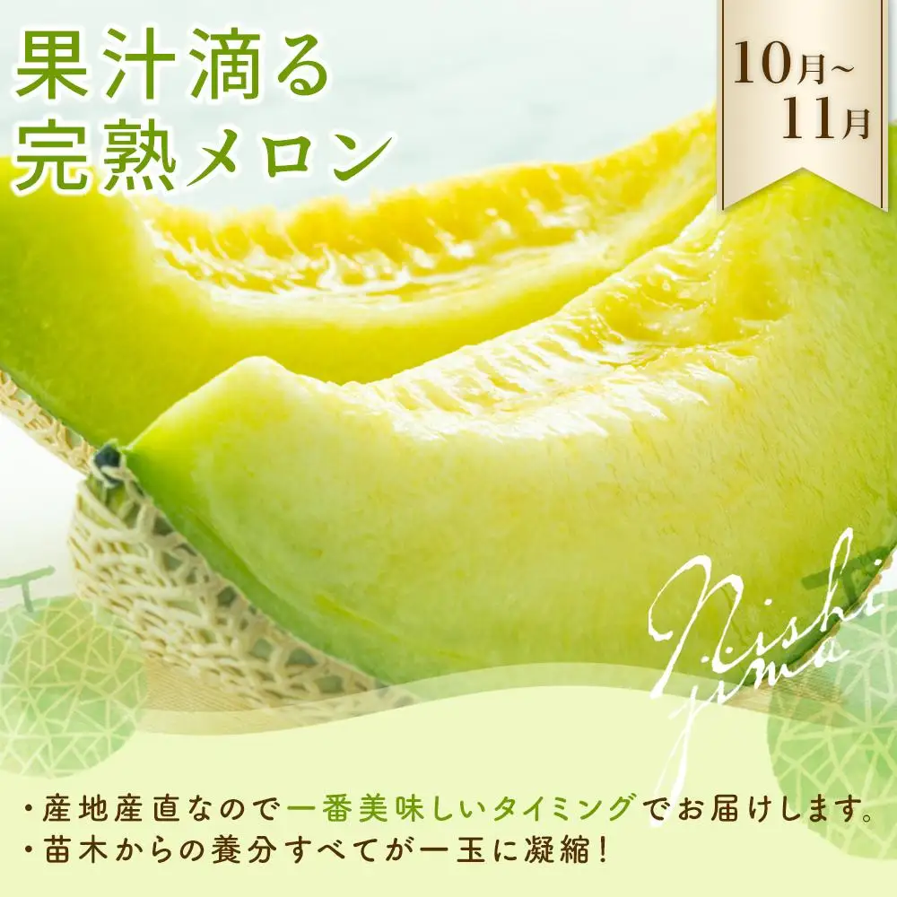 【年3回 定期便】季節のフルーツセット マンゴー メロン  スイカ マンゴー