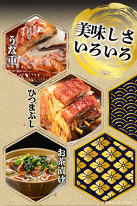 大型サイズ ふっくら柔らか 国産うなぎ 蒲焼き 2尾 (約4人前) 化粧箱入_G7005