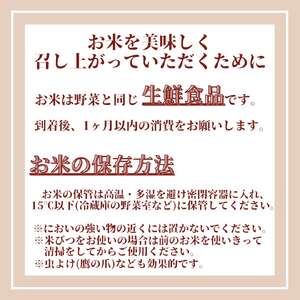 CID33_お米マイスター厳選!!《さがびより》白米10kg(5kg×２袋)