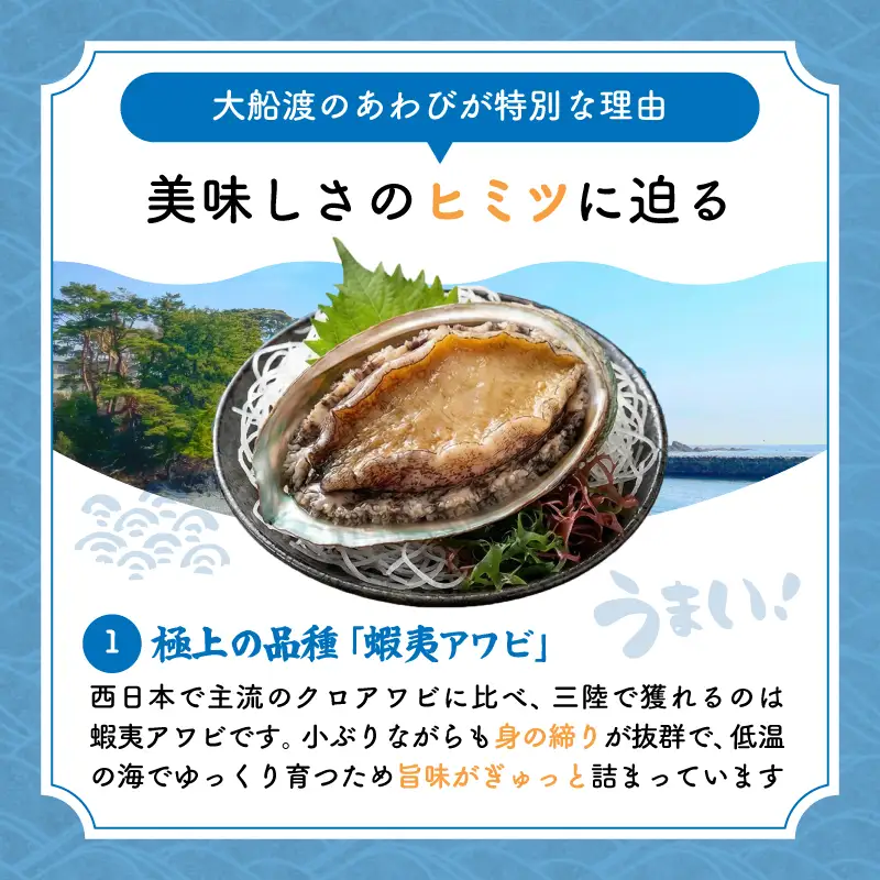 あわびの精 醤油 100ml×2本 ＼ あわび ／