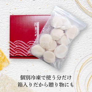超特大 2Lサイズ ホタテ貝柱 500g  ＼ 帆立 ／