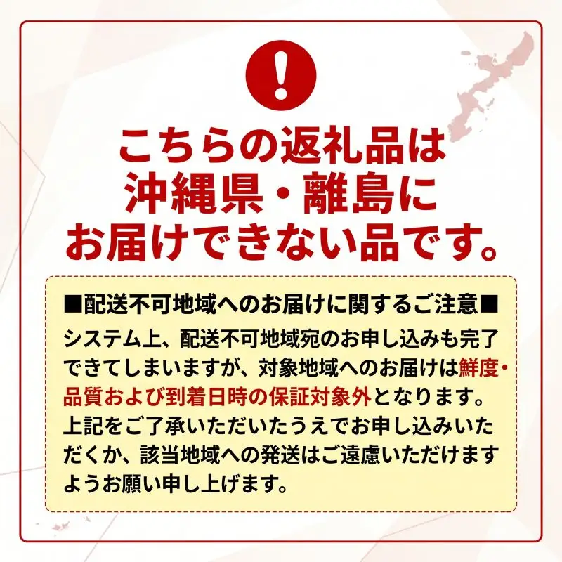 いか 干物 6尾 干物